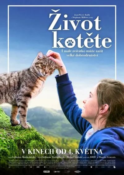 Život kotěte Život kotěte