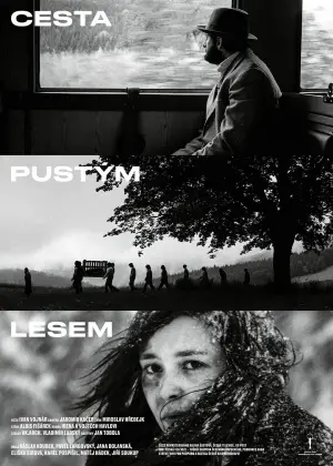 Cesta pustým lesem